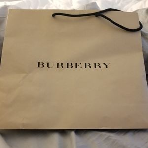 Burberry store bag